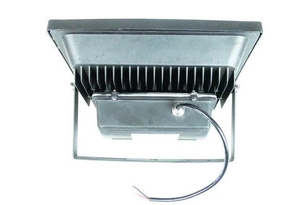 50W TRUEWarm LED Flood Light w/ XD Glass