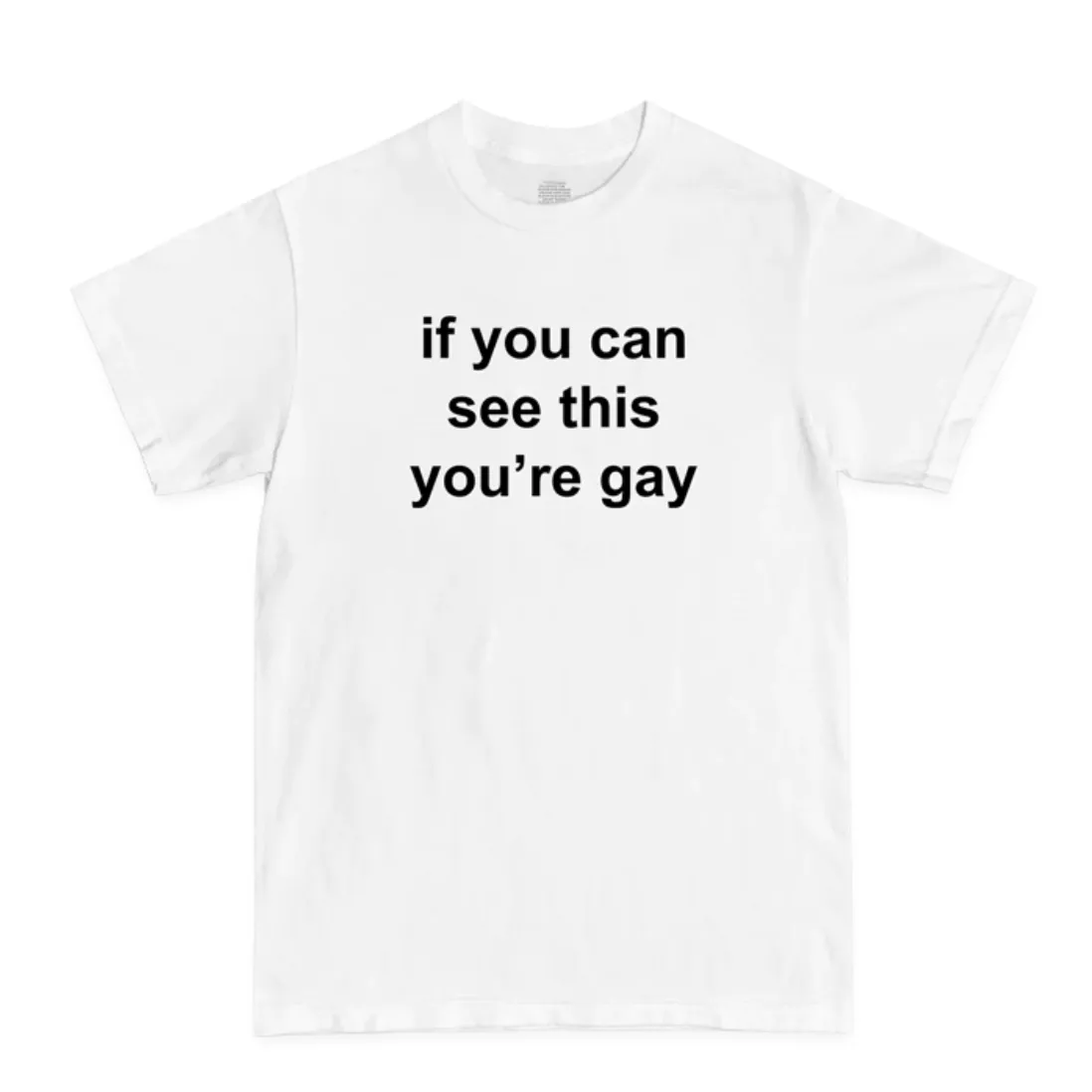 If You Can See This You're Gay Tee