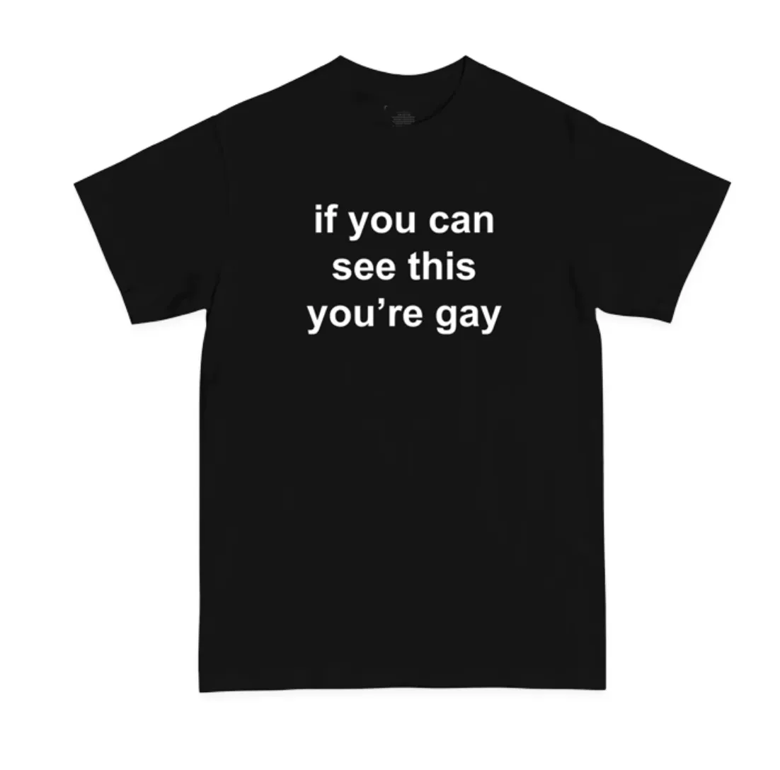 If You Can See This You're Gay Tee