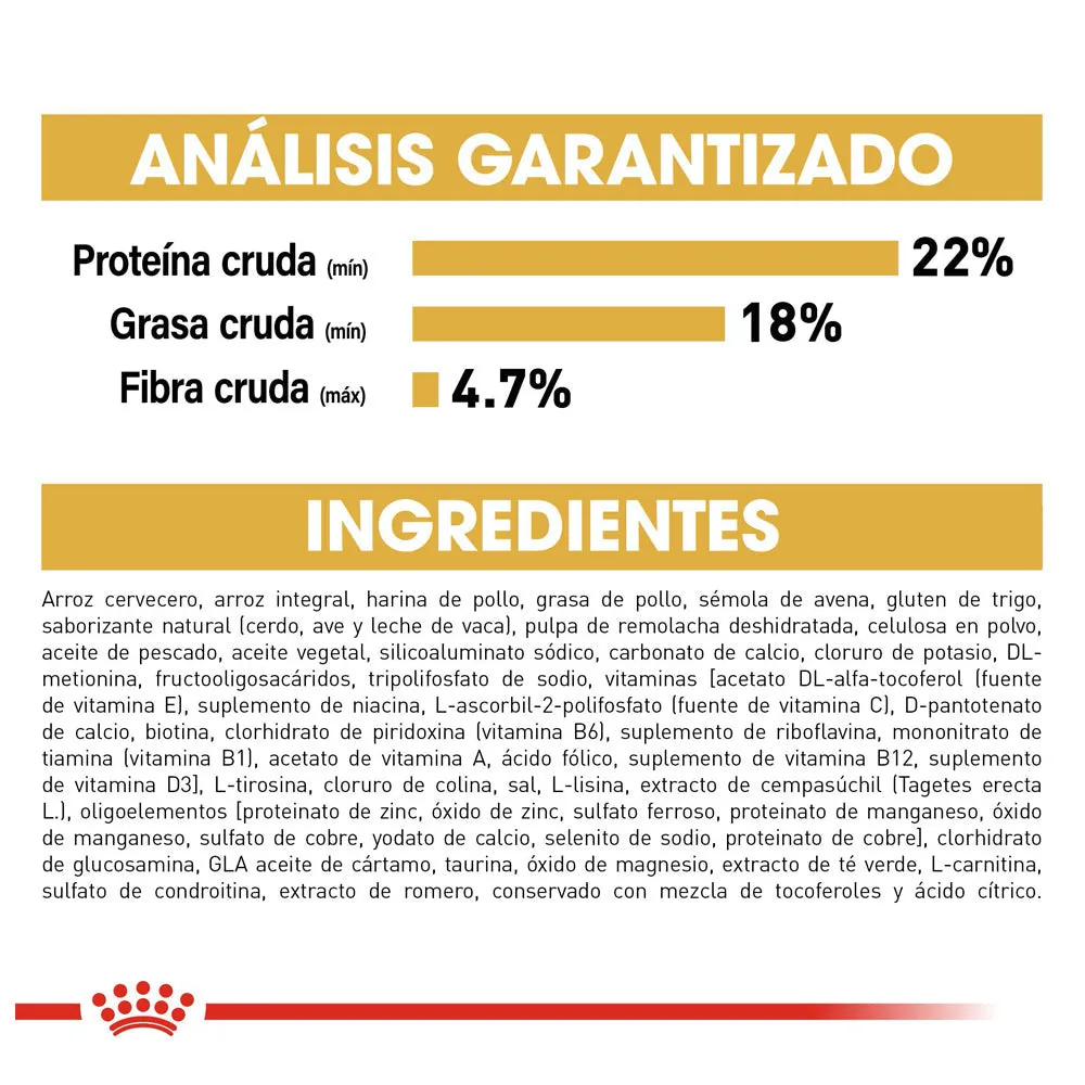 Royal Canin Shih Tzu Adulto